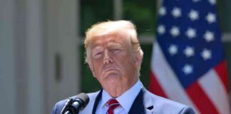 Stephen Miran appointed as Chair of Council of Economic Advisers: Implications for Crypto Industry stephen-miran-appointed-as-chair-of-council-of-economic-advisers-mplications-for-crypto-ndustry