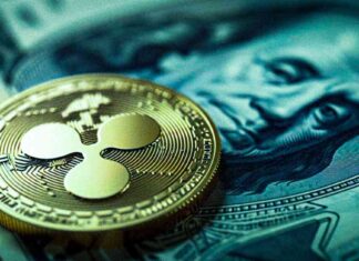 XRP Adoption in Corporate Treasury Reserves: Worksport and BC Bud Co Investments xrp-adoption-in-corporate-treasury-reserves-worksport-and-bc-bud-co-nvestments