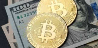 Canaan Inc. Bitcoin Mining Updates & FY2025 Financial Forecast canaan-nc-bitcoin-mining-updates-fy2025-financial-forecast