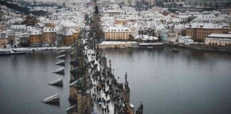 Czech Central Bank Governor’s Bitcoin Investment Plan Revealed czech-central-bank-governors-bitcoin-nvestment-plan-revealed