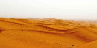 Navigating Regulatory Challenges: The Role of Sandboxes in Innovation navigating-regulatory-challenges-the-role-of-sandboxes-in-nnovation