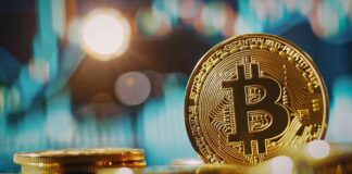 Thriving Market Amid Bitcoin Price Drop: What’s Driving Profits? thriving-market-amid-bitcoin-price-drop-whats-driving-profits