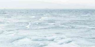 Tron’s T3 Financial Crime Unit Freezes $100M USDT trons-t3-financial-crime-unit-freezes-100m-usdt