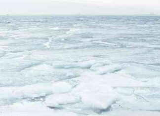 Tron’s T3 Financial Crime Unit Freezes $100M USDT trons-t3-financial-crime-unit-freezes-100m-usdt