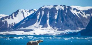 Bitcoin Price Dips Below $94K Amid Nasdaq Concerns bitcoin-price-dips-below-94k-amid-nasdaq-concerns