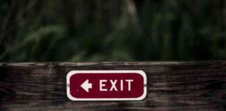 Crypto Expert Nic Carter Declares End of Memecoin Craze crypto-expert-nic-carter-declares-end-of-memecoin-craze