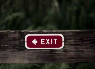 Crypto Expert Nic Carter Declares End of Memecoin Craze crypto-expert-nic-carter-declares-end-of-memecoin-craze