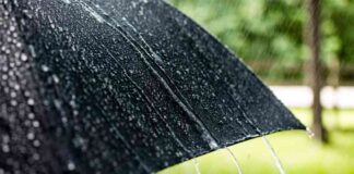 Crypto Stocks and BTC Price Drop Amid U.S. Futures Decline crypto-stocks-and-btc-price-drop-amid-us-futures-decline