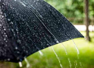 Crypto Stocks and BTC Price Drop Amid U.S. Futures Decline crypto-stocks-and-btc-price-drop-amid-us-futures-decline