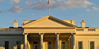 Cryptocurrency Prices Drop After White House Backpedals on Reserve Plan cryptocurrency-prices-drop-after-white-house-backpedals-on-reserve-plan