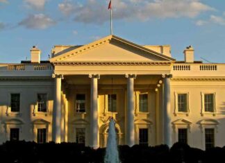 Cryptocurrency Prices Drop After White House Backpedals on Reserve Plan cryptocurrency-prices-drop-after-white-house-backpedals-on-reserve-plan