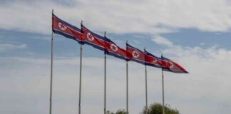 North Korean Firms Target Crypto Developers in the U.S. north-korean-firms-target-crypto-developers-in-the-us