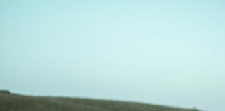 When Will We Get The Doge Stimulus Check? Discover The Truth!