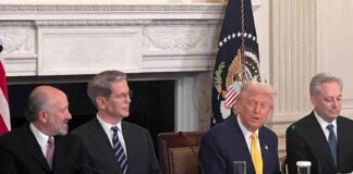 Profitability of Trump Family-Linked Firms with Memecoin profitability-of-trump-family-linked-firms-with-memecoin