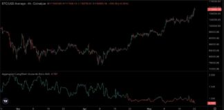 Traders Shorting Bitcoin as BTC Price Reaches Record High traders-shorting-bitcoin-as-btc-price-reaches-record-high